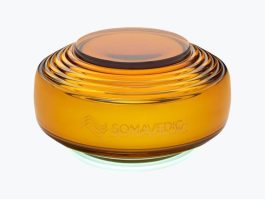 VISHNU AMBER