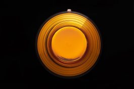 VISHNU AMBER
